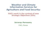 Weather and Climate Information Services for Agriculture and Food ...