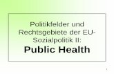 Public Health in Europa