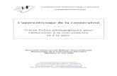 Dossier péda Cooperation - mai 2009