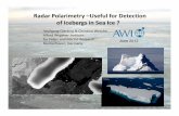 Radar Polarimetry –Useful for Detection of Icebergs in Sea Ice ?