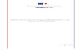 Brief Guide for European Companies on Importers and Wholesale ...
