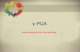 PGA Introduction