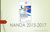 Nanda 2015 2017
