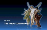 PM [B09] The Trigo Companions