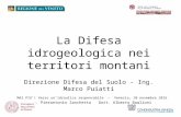 Marco Puiatti Alberto Baglioni Pier Antonio Zanchetta: la difesa idrogeologica nei territori montani