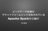 Apache Sparkの紹介
