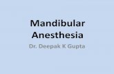 Mandibular anesthesia