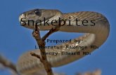 Snakebites in Tanzania