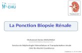 La Ponction biopsie rénale