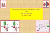 Biochemical mechanismsof  acid base balance and acid base disorders
