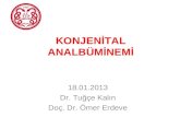Konjenital Analbuminemi (Congenital Analbuminemia)