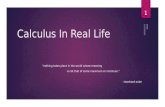 Calculus in real life (Differentiation and integration )