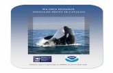WA Orca Catalog_print3