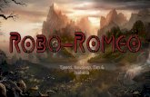 Robo-Romeo eindpresentatie