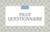Pilot questionnaire