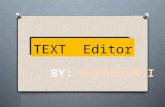 Text editor