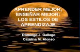 Estilos de aprendizaje (D. Gallego y C. Alonso)