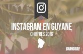 Instagram en Guyane : chiffres 2016