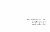 7. metabolismo de proteinas y aminoacidos