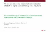 D.Pagliuca, R.Gismondi,  Gli indicatori agro-alimentari: dall’esperienza internazionale al contesto italiano