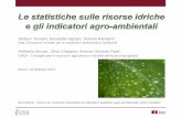 S.Tersigni, D.Vignani, S.Ramberti, Le statistiche sulle risorse idriche e gli indicatori agro-ambientali