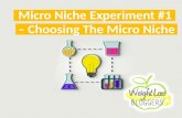 Micro Niche Experiment #1 – Choosing The Micro Niche