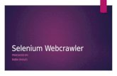 Selenium webcrawler