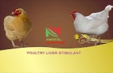 Poultry liver stimulant