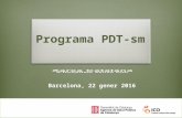 Programa PDT-sm - Cristina Pinet