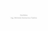 Portfolio Ing. Michele Domenico Todino