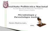 Parotiditis - Virus de la Parotiditis.