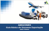 Guia Básico do Siscomex Exportação