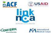 Link NCA: Nutrition Causal Analysis