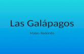 Las Galápagos