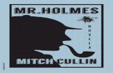 MR. HOLMES de Mitch Cullin