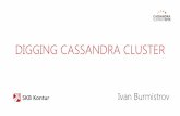 SKB Kontur: Digging Cassandra cluster