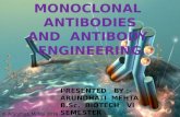 Monoclonal Antibodies & Antibody Engineering
