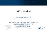 BICSI - GLOBAL - predstavljanje