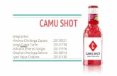 Camu Shot Project