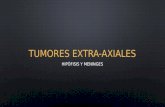 Tumores extra axiales