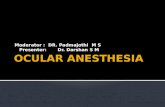 OCULAR Anesthesia