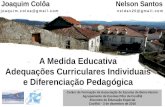 A Medida Educativa Adequações Curriculares Individuais e Diferenciação Pedagógica