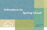 introduce to spring cloud