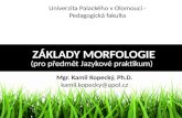 Základy morfologie