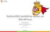 Nejčastejší problémy WordPress webů