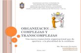 Organizaciones complejas y transcomplejas (marianela h) geprotic 2017 i