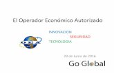 06_2016 Hidmo Presentación OEA CAU GO GLOBAL