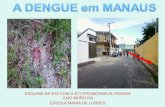 A dengue em manaus atualizado 15 04-2011 final rafael