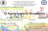 O Agronegócio Brasileiro