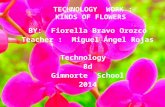 Diapositivas flores fiorella